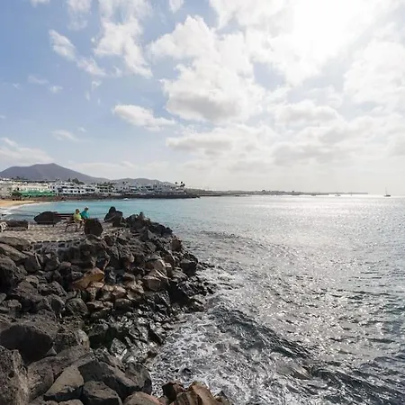 Erizos Playa Blanca (Lanzarote)