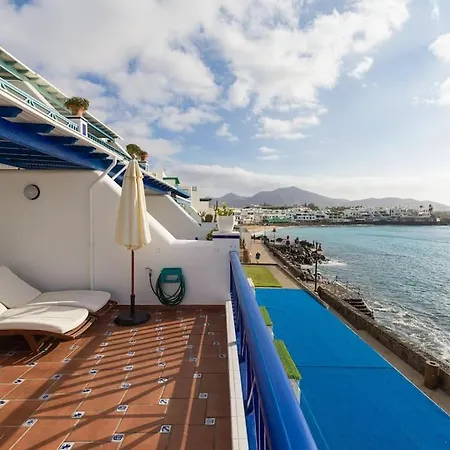 Erizos Playa Blanca (Lanzarote)