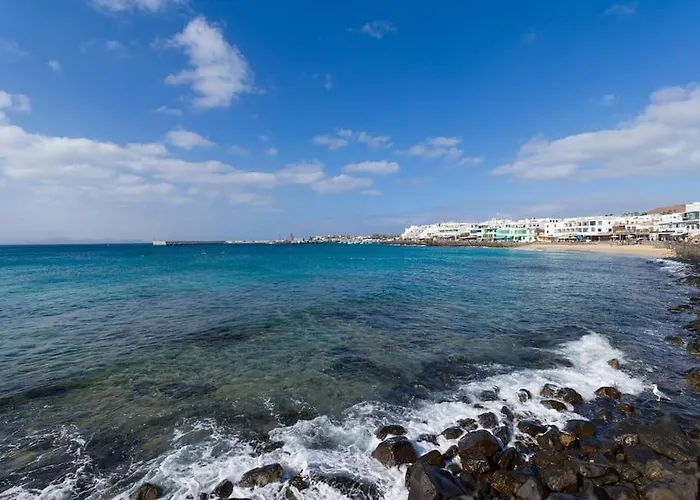 Erizos Playa Blanca (Lanzarote)